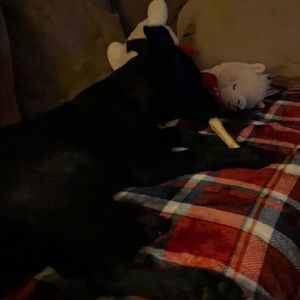 Meet your Posher, Alisha